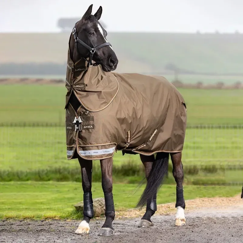 LeMieux Arika Ripstop 600D 50g Detachable Neck Turnout Rug - Alpine