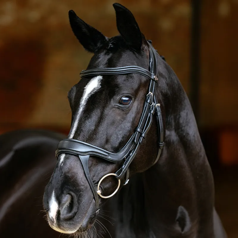 LeMieux Arika Split Noseband Bridle - Black-1