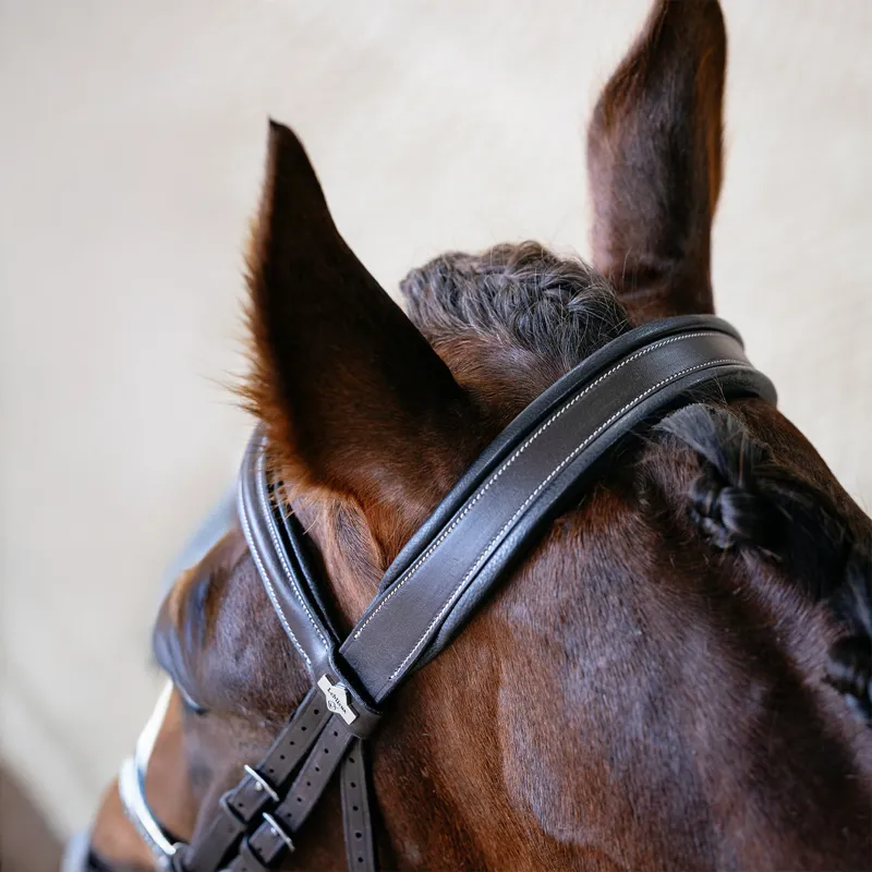 LeMieux Arika Split Noseband Bridle - Brown-3