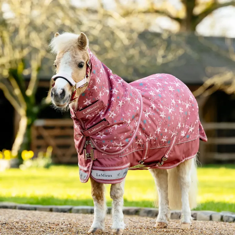 LeMieux Arika Star Detachable Neck 0g Turnout Rug - Spiced Earth Pre-Order-3
