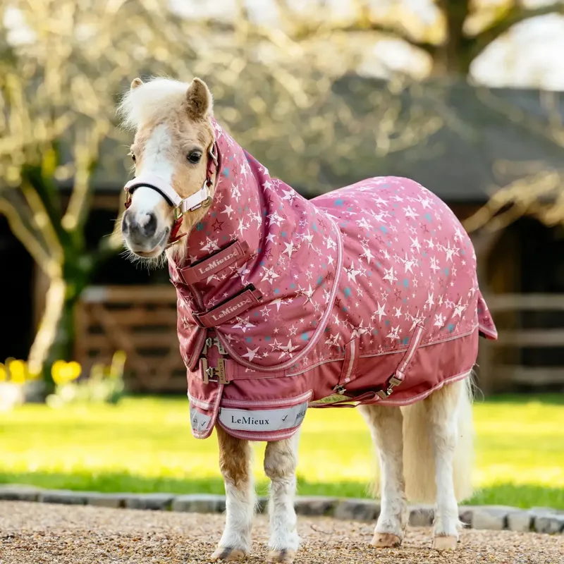 LeMieux Arika Star Detachable Neck 100g Turnout Rug - Spiced Earth-1