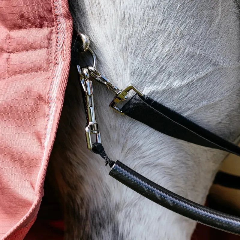 LeMieux Arika Star Detachable Neck 0g Turnout Rug - Spiced Earth Pre-Order-6