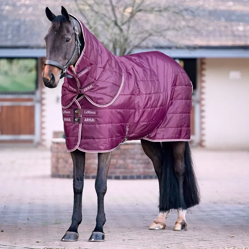 LeMieux Arika Stable-Tek 100g Detachable Neck Stable Rug - Blackberry-1
