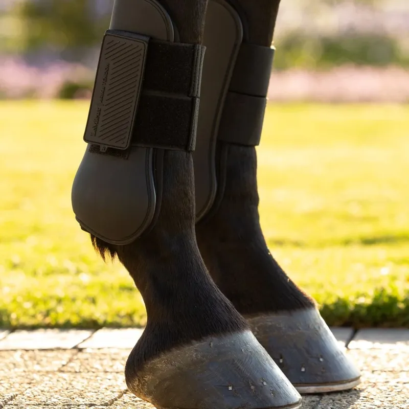 LeMieux Arika Tendon Boots - Black-2