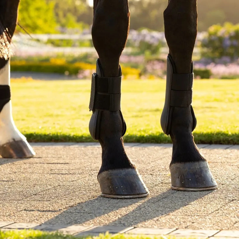 LeMieux Arika Tendon Boots - Black-3