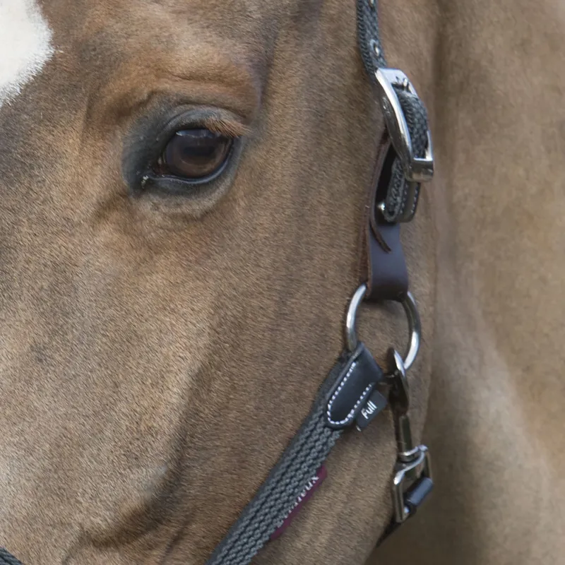 LeMieux Breakaway Headcollar - Black/Brown-2