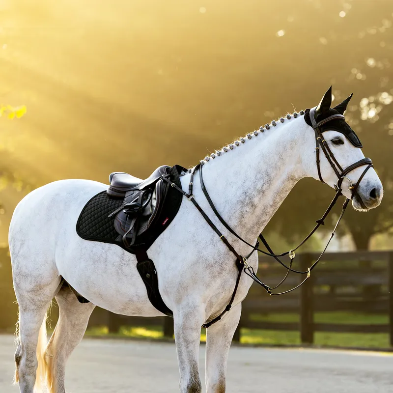 LeMieux Brilliance Close Contact Saddlecloth - Black-2