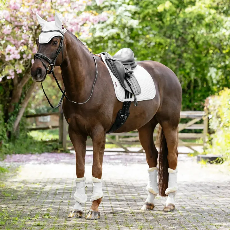 LeMieux Brilliance Dressage Saddlecloth - White-4