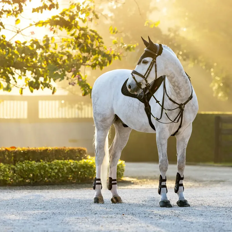 LeMieux Brilliance Fly Veil - Black-2