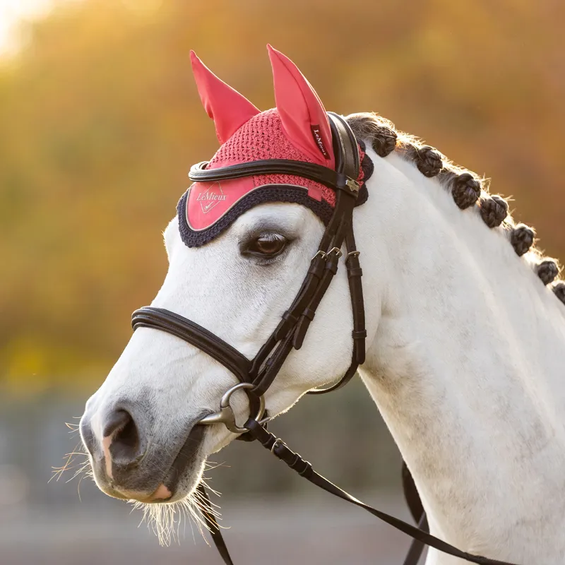 LeMieux Classic Fly Hood - Cranberry-1