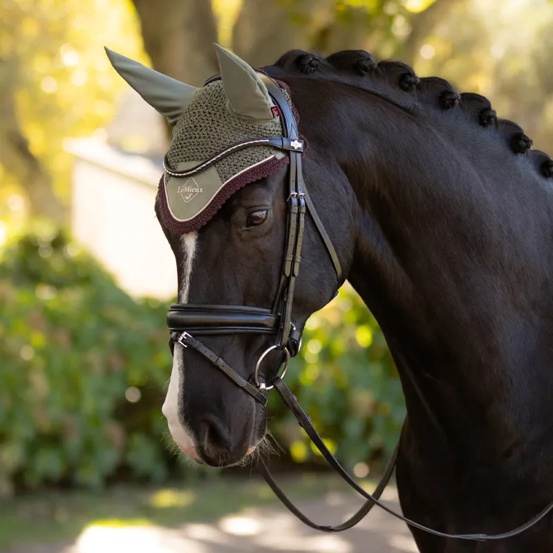 LeMieux Classic Fly Hood - Rosemary-2