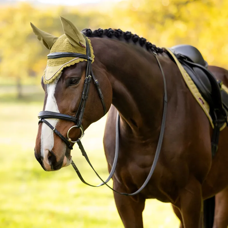 LeMieux Classic Fly Veil - Gooseberry-1