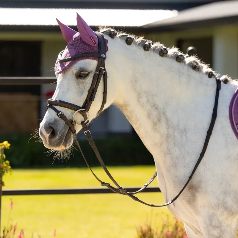 LeMieux Mini Fly Hood - Mallow-2