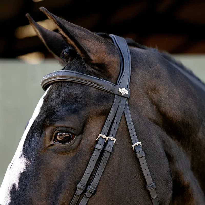 LeMieux Classique Flash Bridle - Black-2