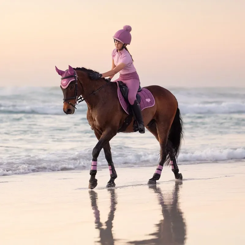 LeMieux Classique Womens Short Sleeve Base Layer - Fondant-5