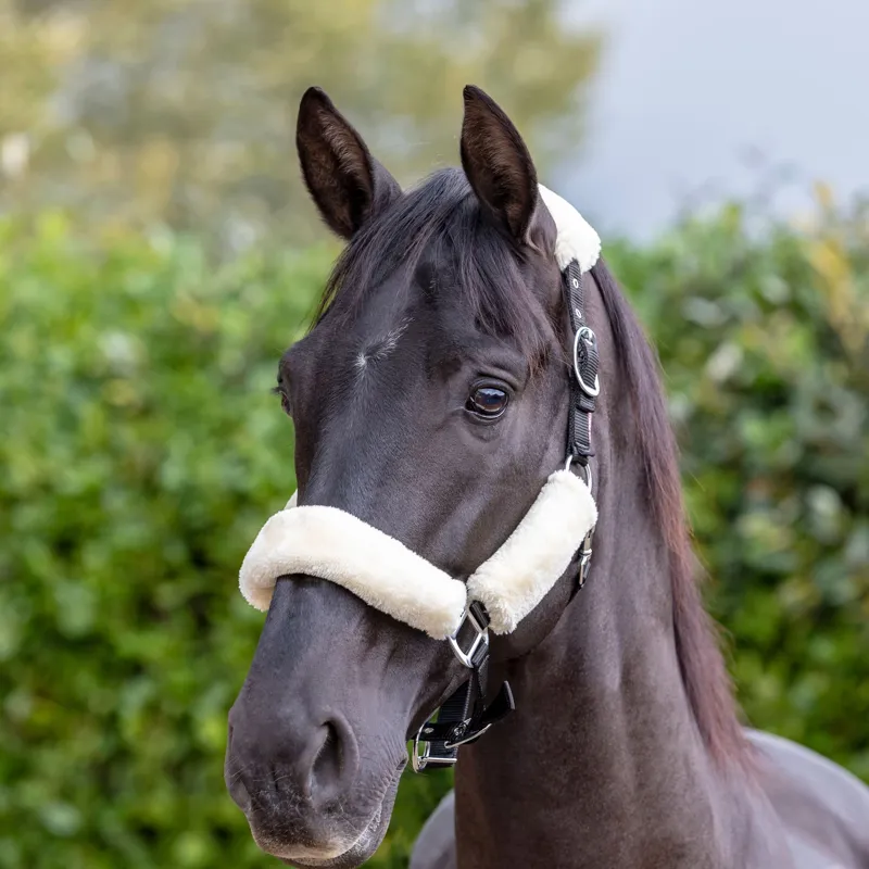 LeMieux Comfort Fleece Headcollar - Black/Natural-1