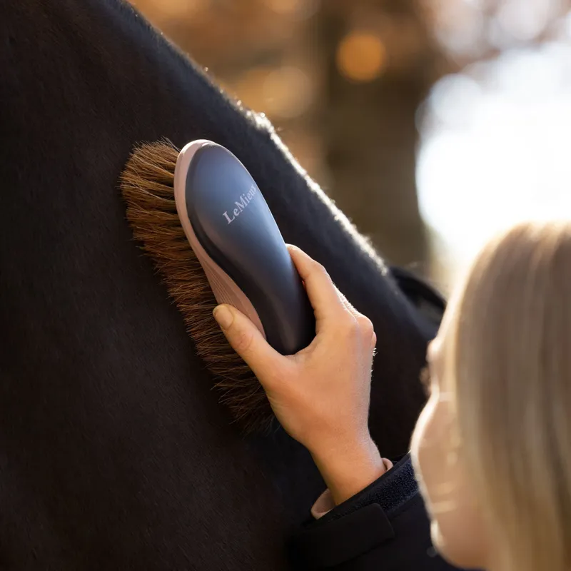 LeMieux Dandy Brush - Navy-2