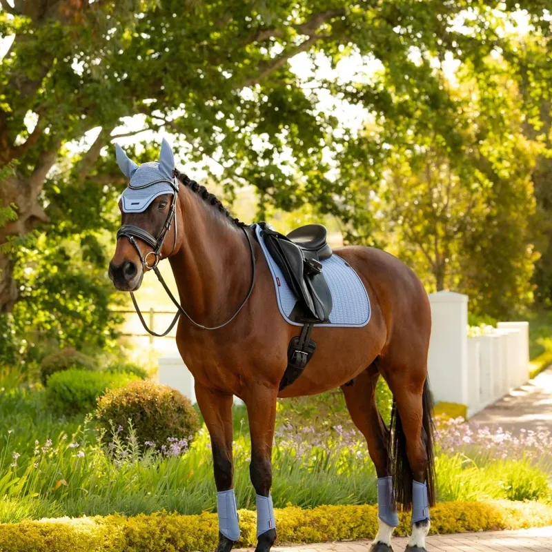 LeMieux Essence Dressage Saddlecloth - Powder Blue-3