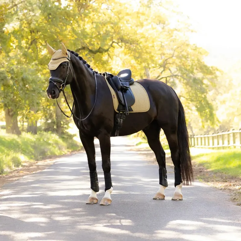 LeMieux Essence Dressage Square - Pear-4