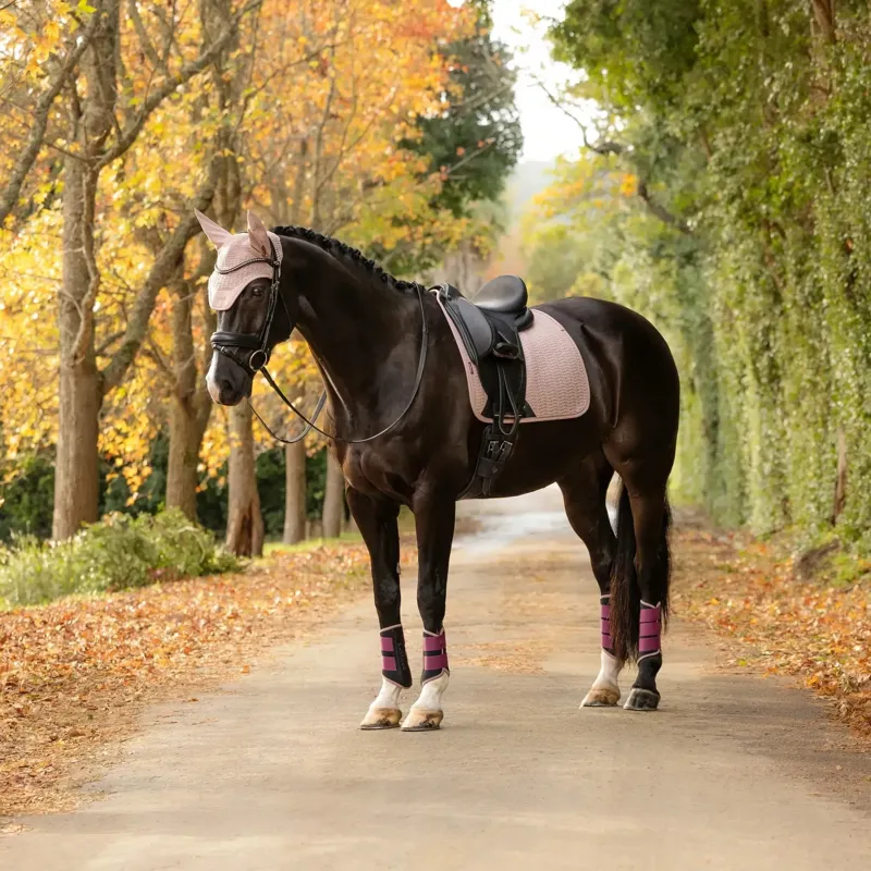LeMieux Essence Dressage Square Saddlecloth - Wild Rose-4