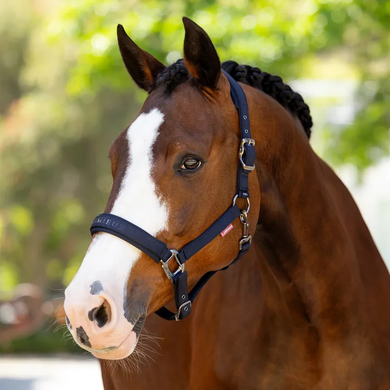 LeMieux Essence Softshell Headcollar - Navy-1