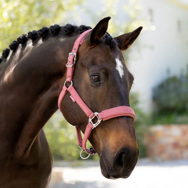 LeMieux Essence Softshell Headcollar - Rosewood-1