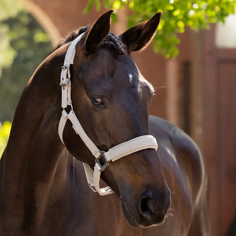 LeMieux Essence Softshell Headcollar - Stone-2