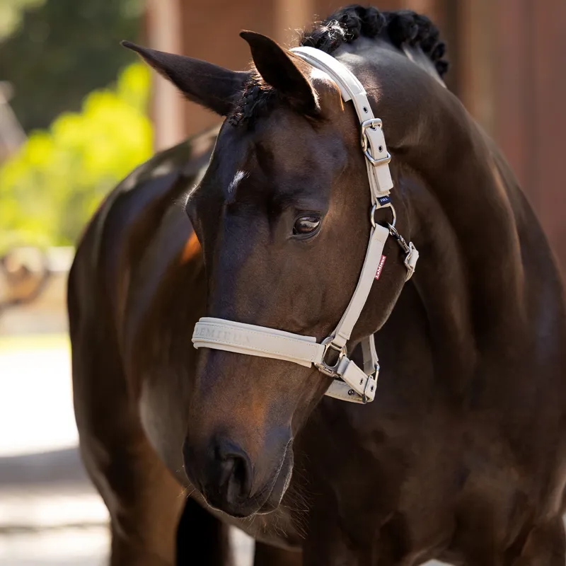 LeMieux Essence Softshell Headcollar - Stone-3