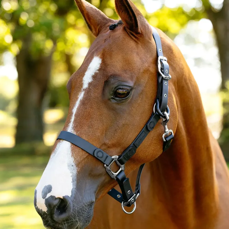 LeMieux FieldFlex Breakaway Headcollar - Black-1