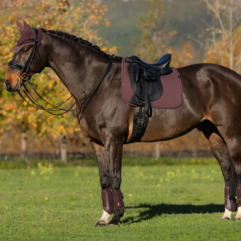 LeMieux Essence Dressage Saddlecloth - Damson-3