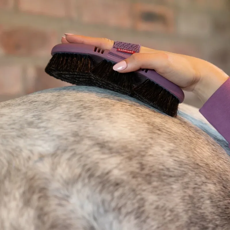 LeMieux Flexi Horse Hair Body Brush - Powder Blue-1