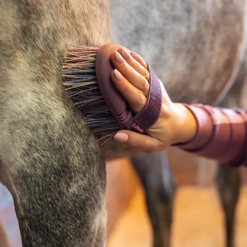 LeMieux Flexi Flicky Brush - Powder Blue/Mallow-3