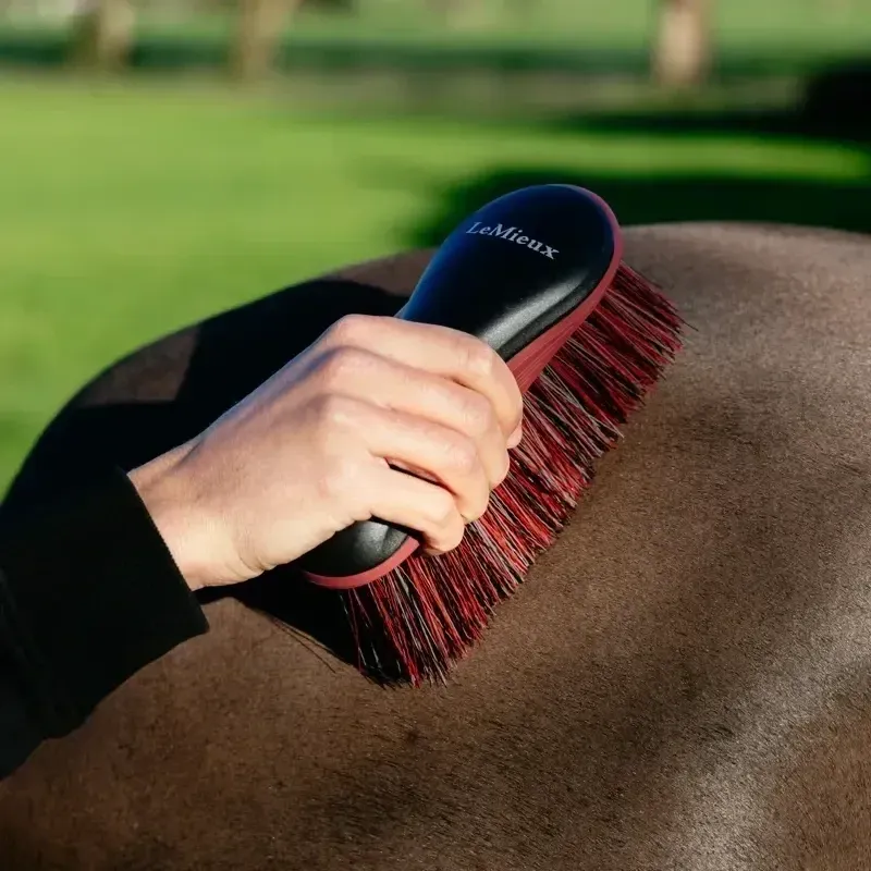 LeMieux Flicky Brush - Black-2