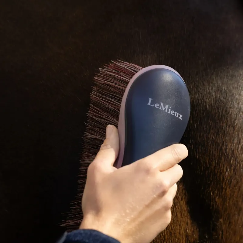 LeMieux Flicky Brush - Navy-2