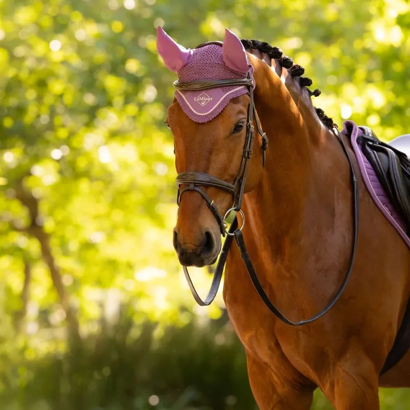 LeMieux Classic Fly Hood - Mallow-2