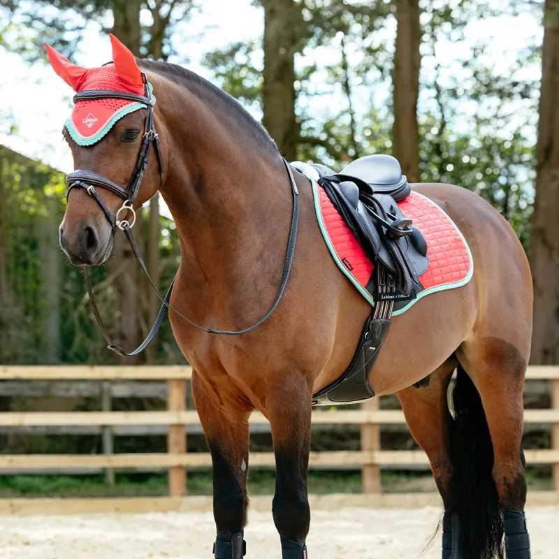 LeMieux x Harlow Fly Hood - Coral Crush-2