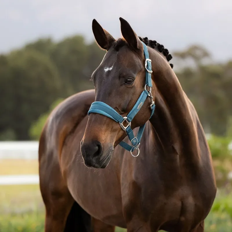 LeMieux Versailles Headcollar - Jungle-1