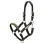LeMieux Capella Leather Headcollar - Willow Green