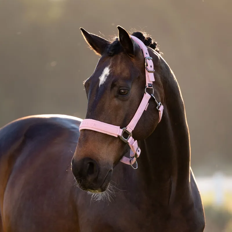 LeMieux Essence Softshell Headcollar - Fondant-1