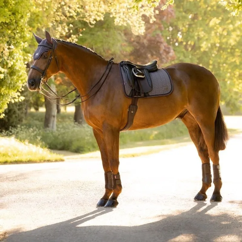 LeMieux Heritage Herringbone Dressage Saddlecloth - Cocoa Pre-Order-1