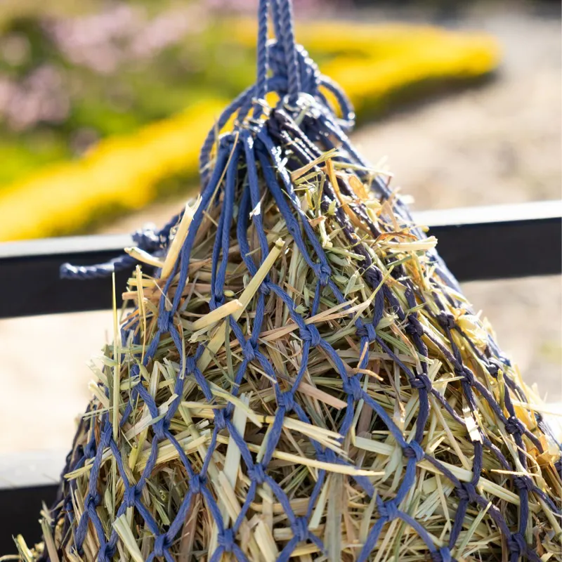 LeMieux Hippo Haynet - Powder Blue/Shadow-3