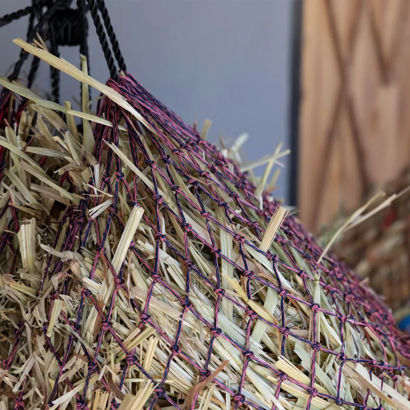 LeMieux Hippo Haynet - Navy/Mallow-3