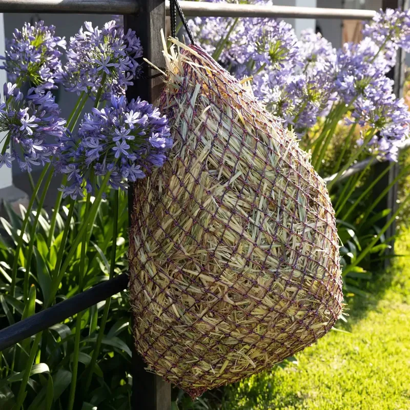 LeMieux Hippo Haynet - Navy/Mallow-1