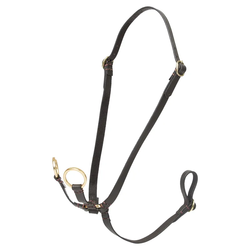 LeMieux Hobby Horse Standing Martingale - Brown