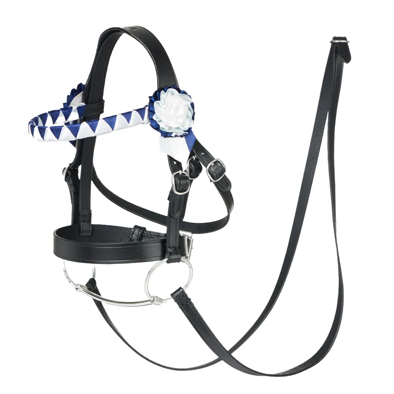 LeMieux Hobby Horse Toy Showing Bridle - Black