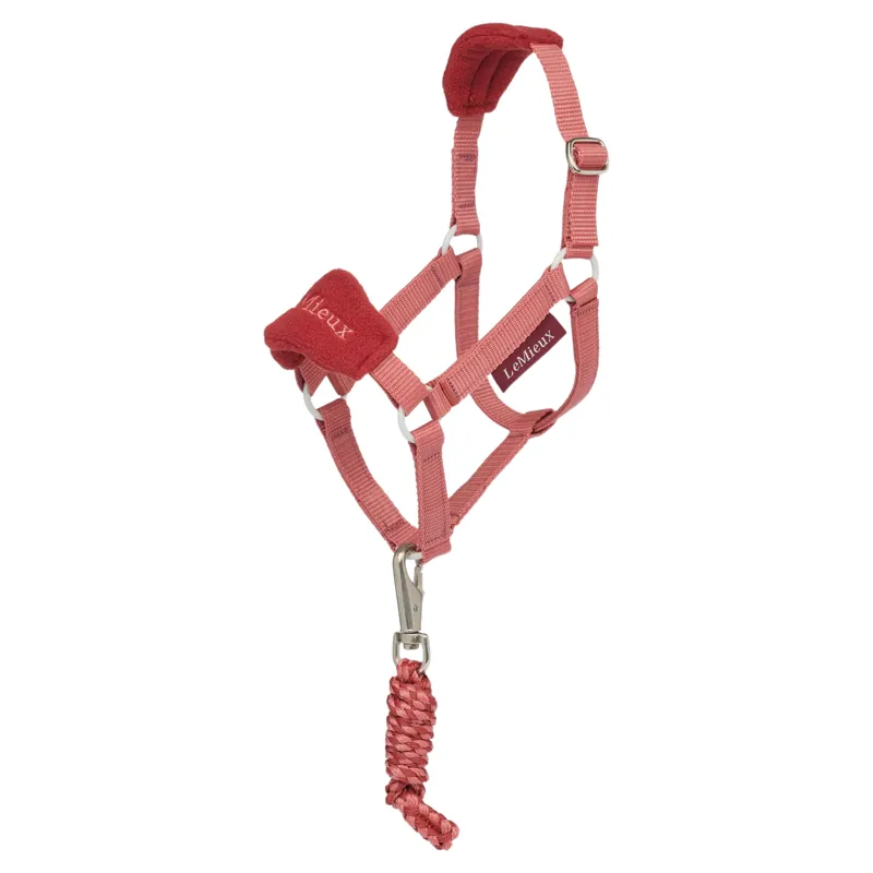 LeMieux Hobby Horse Vogue Headcollar and Leadrope Set - Spiced Earth