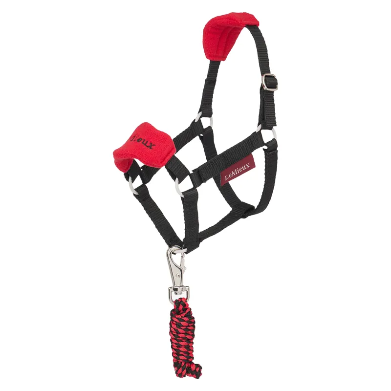LeMieux Hobby Horse Vogue Headcollar and Leadrope Set - Chilli