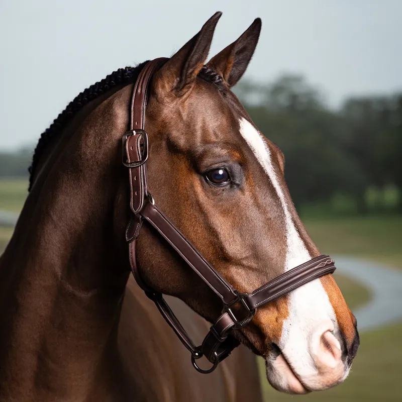 LeMieux Stitched Leather Hunter Headcollar - Havana-1
