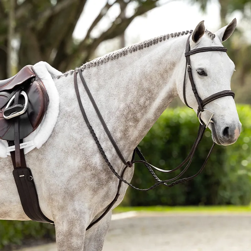 LeMieux Hunter Standing Martingale - Havana/Silver-2