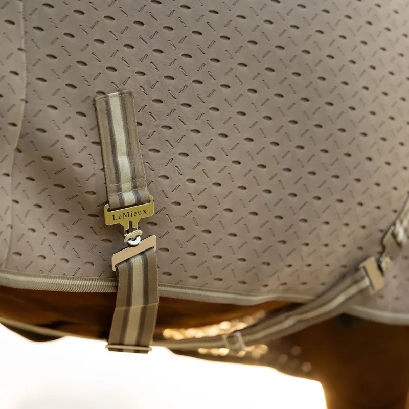 LeMieux Kudos 3D Mesh Travel Rug - Pecan-3